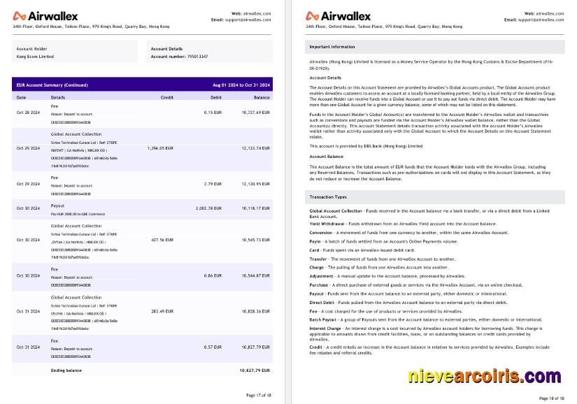 Hong Kong Airwallex Limited account statement, 18 pages 9
